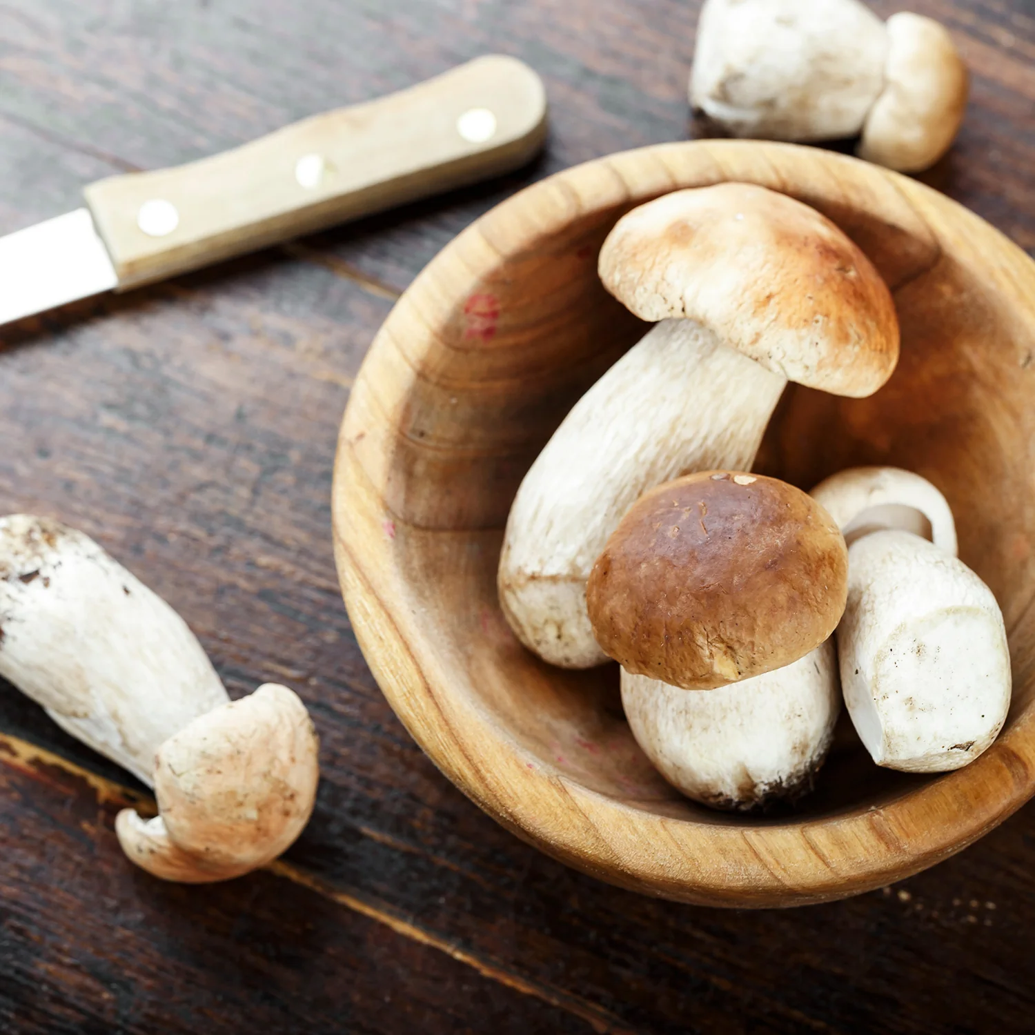 Imagen del producto 4